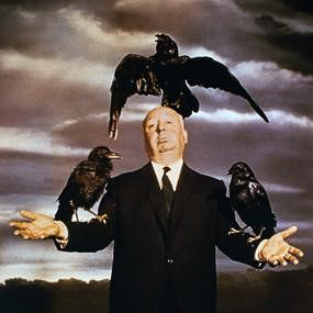 The Nasty Turkey Vultures are Gone